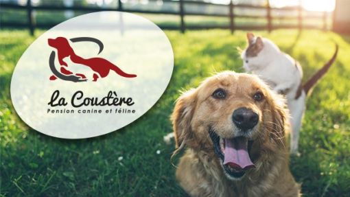 Site internet de présentation pension canine et féline Pyrénées Atlantiques